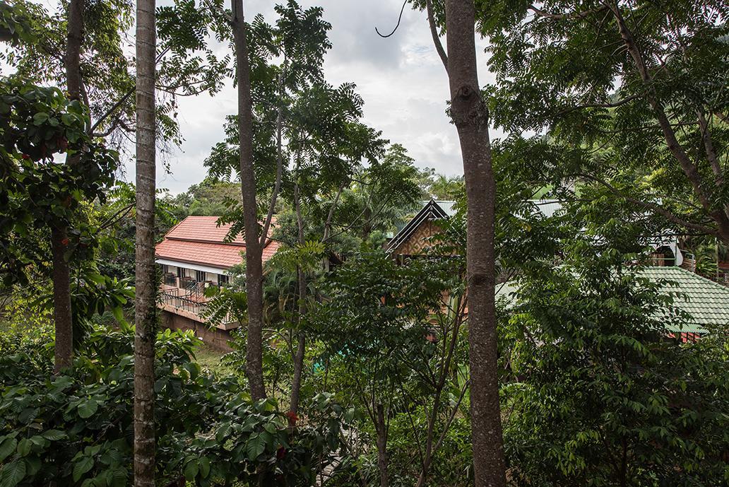 Kanita Resort And Villa Karon Bagian luar foto